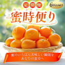 【ふるさと納税】【発送月固定定期便】「蜜時(みつどき)便り」みかんやまどんな、甘平、せとかなど【H64-93】全6回【4069713】(4)