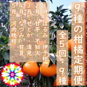 【ふるさと納税】【発送月固定定期便】愛咲果樹園「9種の柑橘定期便」(1月~5月)【H71-32】全5回【4069714】