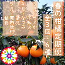 【ふるさと納税】【発送月固定定期便】愛咲果樹園「春の柑橘定期便」(3月~5月)【G71-33】全3回【4069716】