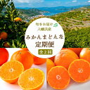 【ふるさと納税】【発送月固定定期便】愛媛みかん 大玉8kg×まどんな2.5kg【F25-248】全2回【4070996】