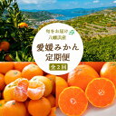 【ふるさと納税】【発送月固定定期便】11月より順次発送 みかん定期便 大玉8kg×秀品5kg【F25-249】全2回【4070997】