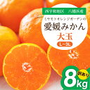 【ふるさと納税】【2025年11月より順次発送】大玉サイズのみ厳選!愛媛みかん8kg【訳あり】【C25-142】_ みかん ミカン 柑橘 フルーツ ふるーつ 果...