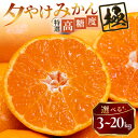 【ふるさと納税】【甘みが濃縮されたみかん】愛媛で育った夕やけみかん【極】3kg(小玉)〜_ みかん ミカン 蜜柑 小玉 小玉サイズ 夕やけみかん 果物 くだもの...