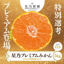 【ふるさと納税】【三つ星ブランド】星乃みかんプレミアムシリーズ(5kg)【C45-84】【1454778】