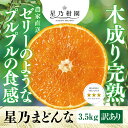 【ふるさと納税】【三つ星ブランド】星乃まどんな(3.5kg)【C45-86】【1475871】
