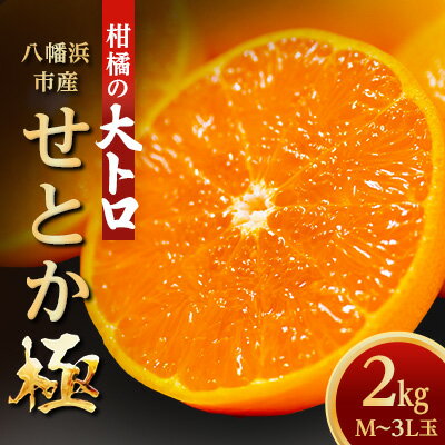 楽天市場】甘平(総重量(果物)2.00 ~ 2.99kg)の通販 楽天市場】甘平(総重量(果物)2.00 ~ 2.99kg)の通販