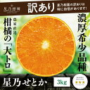 【ふるさと納税】【訳あり】星乃せとか 柑橘の大トロ(3kg)【C45-87】【1535970】