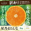 【ふるさと納税】【三つ星ブランド】訳あり 星乃まどんな(2kg)【C45-91】【1625773】