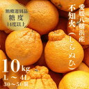 【ふるさと納税】\糖度14.0以上酸1.4以下/糖酸選別品 愛媛産 不知火 (しらぬひ) 10kg【D20-8】_ デコポン と同品種 しらぬい みかん オレンジ フルーツ 旬 果物 柑橘 愛媛県 愛媛 人気 愛媛みかん 【配送不可地域:離島】【1094587】
