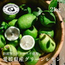【ふるさと納税】【防腐剤・ワックス不使用】愛媛県産グリーンレモン 2kg / 3kg / 5kg / 10kg_ レモン れもん 檸檬 グリーンレモン 愛媛県 ...