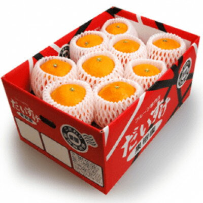 【ふるさと納税】プルプルの果肉ととろける美味しさ!愛媛県八幡浜産媛まどんな5kg【贈答用】【G35-12】【配送不可地域:離島・北海道・沖縄県】【1492216...