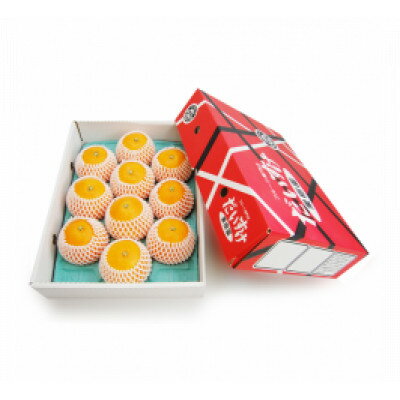 【ふるさと納税】プルプルの果肉ととろける美味しさ!愛媛県八幡浜産媛まどんな3kg【贈答用】【D35-11】【配送不可地域：離島・北海道・沖縄県】【1492228】