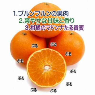 【ふるさと納税】柑橘界のスイーツ!?愛媛県八幡浜産媛まどんな5kg【訳あり】【E35-10】【配送不可地域：離島・北海道・沖縄県】【1492233】