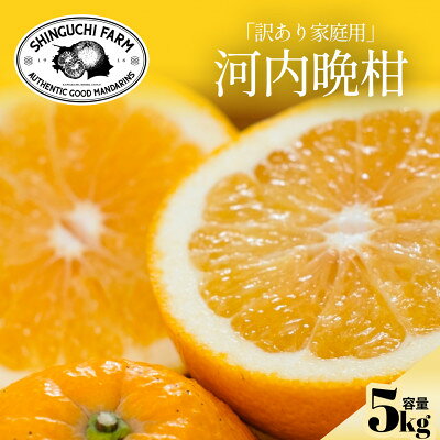 【ふるさと納税】【太陽の恵みをギュッと凝縮】河内晩柑 訳あり 5kg 愛媛県産【C70-87】【1635557】