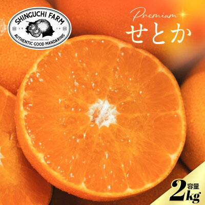 【ふるさと納税】【数量限定】老舗農家が見極めたプレミアム【せとか2kg】柑橘の大トロ【C70-96】【1671344】