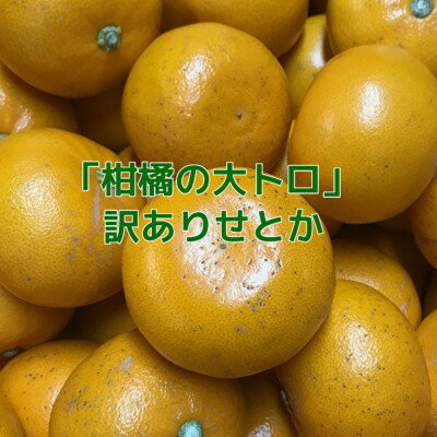 [訳あり]せとか3kg[C21-56][配送不可地域:離島]