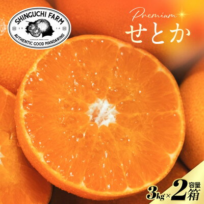 【ふるさと納税】【数量限定】老舗農家が見極めたプレミアム【せとか3kg×2箱】柑橘の大トロ【H70-115】【1683912】