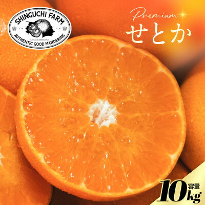 【ふるさと納税】【数量限定】老舗農家が見極めたプレミアム【せとか10kg】柑橘の大トロ【H70-116】【1683916】