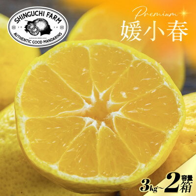 【ふるさと納税】【数量限定】老舗農家が見極めたプレミアム【媛小春3kg×2箱】 愛媛県新品種【H70-118】【1683931】