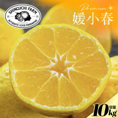 【ふるさと納税】【数量限定】老舗農家が見極めたプレミアム【媛小春10kg】 愛媛県新品種【H70-119】【1683937】