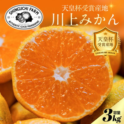 [天皇杯受賞産地]川上みかん 3kg[愛媛県八幡浜市]新口農園厳選[A70-120]