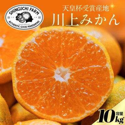 【ふるさと納税】【天皇杯受賞産地】川上みかん 10kg【愛媛県八幡浜市】新口農園厳選【E70-126】【1684224】(4)