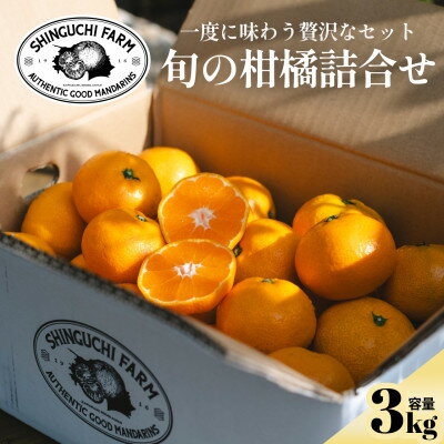 【ふるさと納税】【愛媛 旬のプレミアム柑橘】極上食べ比べセット 3kg【D70-129】【1684313】