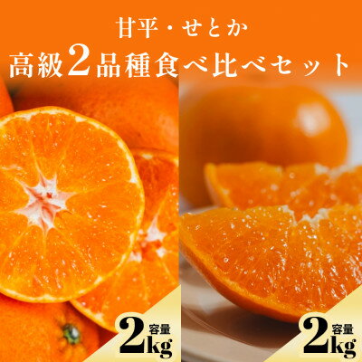 [プレミアム柑橘 贅沢食べ比べセット]甘平2kg+せとか2kg 高級2品種[F70-145]