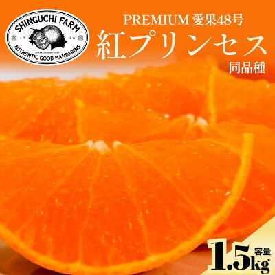 【ふるさと納税】紅プリンセスと同品種「甘平×まどんな」愛果48号【1.5kg】《新品種》【家庭用】【C70-14】【1689784】