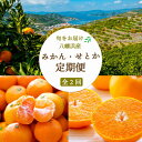 【ふるさと納税】【発送月固定定期便】愛媛みかん大玉8kg(訳)×せとか2kg【G25-259】全2回【4071212】