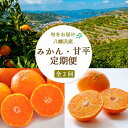 【ふるさと納税】【発送月固定定期便】愛媛みかん7kg(訳)×甘平3kg【H25-265】全2回【4071238】