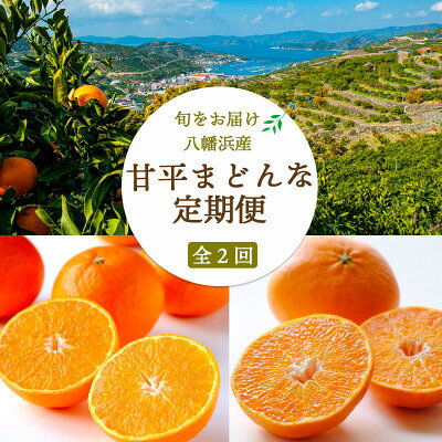 【ふるさと納税】【発送月固定定期便】【愛媛の人気高級品種】まどんな2.5kg×甘平3kg【H25-266】全2回【4071241】