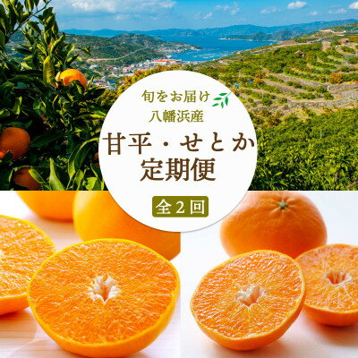 【ふるさと納税】【発送月固定定期便】甘平(訳)3kg×せとか(訳)3kg【H25-269】全2回【4071244】