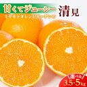 【ふるさと納税】【2026年4月上旬以降発送】果汁たっぷり ジューシー清見 ( 3.5kg / 5kg )_ 柑橘 清見 みかん オレンジ 果物 フルーツ くだもの 人気 おすすめ 送料無料 ジューシー 3.5kg 5kg 愛媛県 八幡浜市 【G1044409】