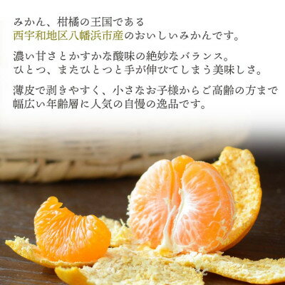 【ふるさと納税】【2025年11月より順次発送】西宇和地区八幡浜産 愛媛みかん( 3kg / 5kg / 7kg )_ みかん ミカン 蜜柑 愛媛みかん 愛媛 えひめ 果物 くだもの フルーツ デザート おいしい 甘い かんきつ 柑橘 柑橘類 国産 愛媛県 八幡浜市【G1044410】