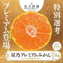 【ふるさと納税】【三つ星ブランド】星乃みかんプレミアムシリーズ(5kg)【D45-84】【1454778】