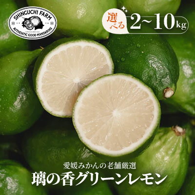 【ふるさと納税】【皮が薄くて種がない】璃の香グリーンレモン 2kg / 3kg / 5kg / 10kg 愛媛県産_ レモン れもん 檸檬 グリーンレモン 愛媛...