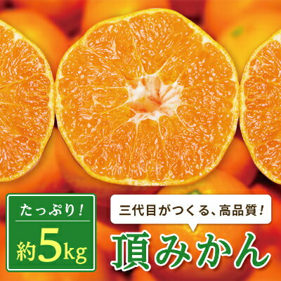【ふるさと納税】三代目がつくる高品質【頂みかん】5kg【C31-16】_ みかん 蜜柑 ミカン 愛媛みかん 愛媛 国産 箱 送料無料 農家直送 産地直送 柑橘 かんきつ 温州みかん 旬 フルーツ 果物 くだもの 【1042516】