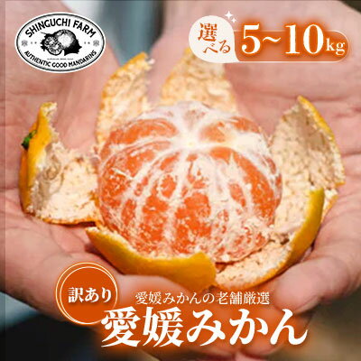 [天皇杯受賞産地]川上みかん[訳あり]愛媛県八幡浜市 5kg / 8kg / 10kg_ みかん ミカン 蜜柑 訳あり 愛媛みかん 愛媛 えひめ 果物 くだもの フルーツ デザート おいしい かんきつ 柑橘 柑橘類 国産 愛媛県 八幡浜市 家庭用 [G1536340]