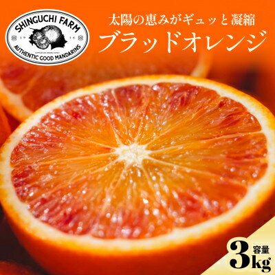 【ふるさと納税】【太陽の恵みをギュッと凝縮】ブラッドオレンジ 3kg / 5kg / 10kg 新口農園_ ブラッドオレンジ オレンジ タロッコ おれんじ 果物 くだもの フルーツ デザート おいしい ジューシー かんきつ 柑橘 柑橘類 国産 愛媛 えひめ 愛媛県 【G1615814】