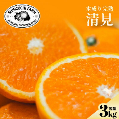 【ふるさと納税】【太陽の恵みをギュッと凝縮】清見 3kg / 5kg / 10kg_ みかん ミカン 蜜柑 清見 きよみ 果物 くだもの フルーツ デザート おいしい かんきつ 柑橘 柑橘類 国産 愛媛 えひめ 愛媛県 八幡浜市 家庭用 自宅用 産直 産地直送 送料無料 【G1615835】