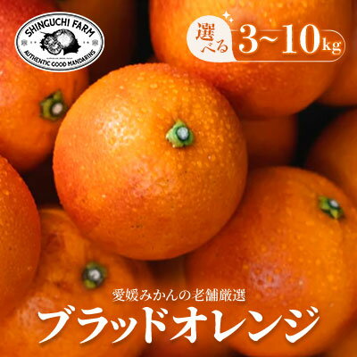 【ふるさと納税】【太陽の恵みをギュッと凝縮】ブラッドオレンジ　 3kg / 5kg / 10kg 新口農園_ ブラッドオレンジ オレンジ タロッコ おれんじ 果物 くだもの フルーツ デザート おいしい ジューシー かんきつ 柑橘 柑橘類 国産 愛媛 えひめ 愛媛県 【G1615814】(4)