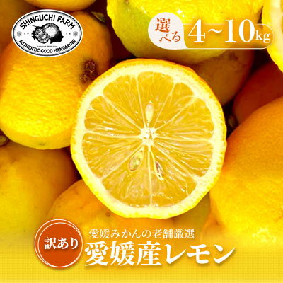 【ふるさと納税】【太陽の恵みをギュッと凝縮】訳あり 愛媛レモン 4kg / 5kg / 10kg_ レモン れもん 檸檬 訳あり 愛媛県 国産 防腐剤不使用 ...