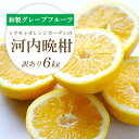 【ふるさと納税】【2025年4月下旬】苦味の少ない和製グレープフルーツ 河内晩柑6kg(訳あり)【C25-136】_ みかん ミカン 河内晩柑 晩柑 柑橘 フル...