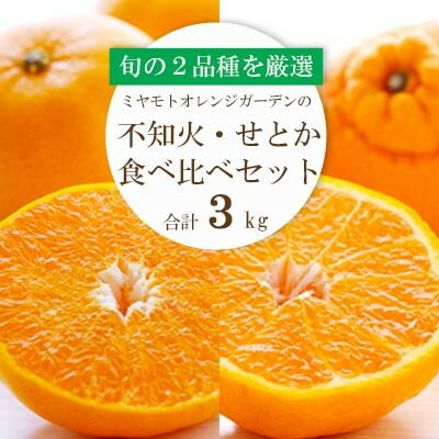 【ふるさと納税】愛媛の人気2品種をセットに!せとか・不知火 食べ比べ 合計3kg【訳あり】【C25-141】...