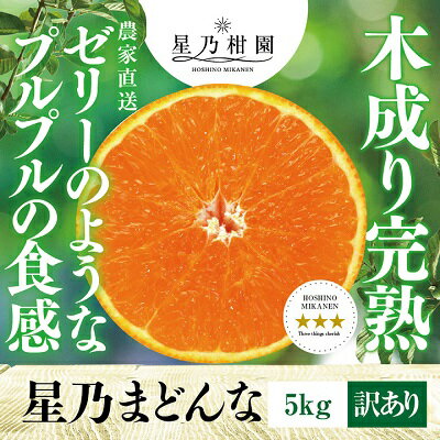 1位! 口コミ数「71件」評価「3.73」【訳あり】2024年先行予約 星乃みかん園の 星乃まどんな(5kg)【D45-62】_ 先行予約 みかん 愛媛ミカン オレンジ 不揃い フル･･･ 