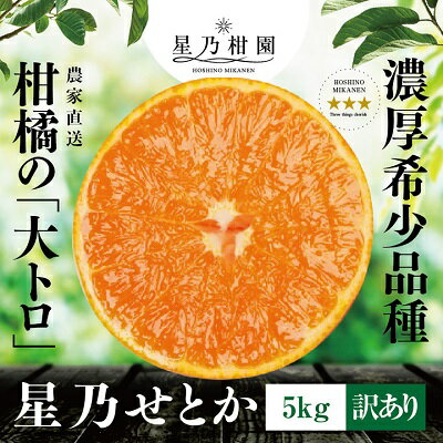 19位! 口コミ数「34件」評価「2.15」【訳あり】星乃みかん園の星乃せとか(5kg)【D45-60】【1339333】