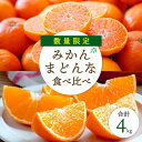 【ふるさと納税】愛媛限定柑橘をセットに 愛媛みかん まどんな食べ比べ 合計4kg【訳あり】【C25-118】【1419032】