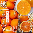【ふるさと納税】【2025年11月以降発送】「媛一みかん」と「媛一まどんな」の2品種・約5kg【C28-29】_ みかん ミカン マドンナ 紅まどんな同品種 柑橘 柑橘類 フルーツ 果物 くだもの 人気 美味しい 愛媛県 八幡浜 ふるさと 【1119673】