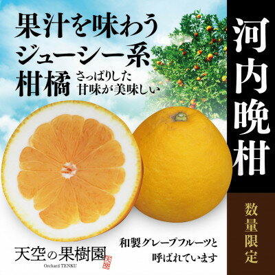 天空の果樹園からの河内晩柑 7kg(家庭用)【C45-25】【1339368】